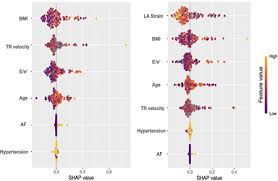 Image result for H2FPEF Score