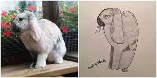 See more ideas about pet portraits, custom pet portraits, pop art pet portraits. Artist Raises Thousands For Charity With Hilarious Pet Portraits