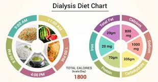 De boer often sees type 2 diabetes patients after signs of kidney trouble have surfaced. Nutrition And Diet For Dialysis Patients Apollo Hospitals Blog