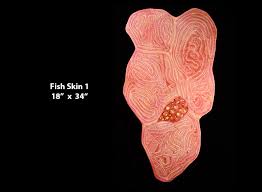 We are looking at the skin from the side. Carla Stehr Fish Skin