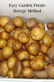 Lowest price in 30 days. Easy Way To Store Potatoes From Your Garden An Oregon Cottage