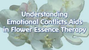 Understanding Emotional Conflicts Aids In Flower Essence Therapy