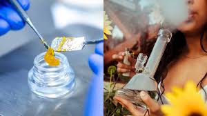Hash oil making can be a delight with an easy cannabis edible. Cannabis Extract Hash Oil Is Blowing Up In India