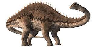 The giant turtle was discovered on the banks of the amur. The Dino Directory Natural History Museum