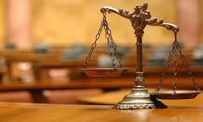 Image result for Justicia exigua