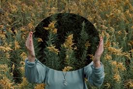 Les Fleurs De Bach Pour La Depression Wemystic France