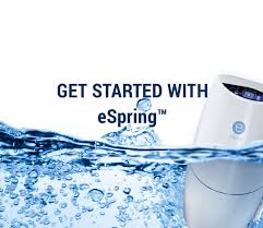 Free express shipping original 20+ years on ebay. Espring Water Purifier Help Desk Amway United States