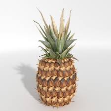 Realistic Pineapple 3d Model Fruit Max C4d Obj 3ds Fbx Lwo Stl Pineapple Realistic 3d Model