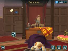 Harry potter hogwarts mystery mod apk is an adventure game from jam city inc. I Just Updated The Game And In The Dormitory It Now Shows Mc Switching To Their Animagus Form And Back Hphogwartsmystery