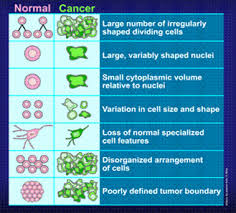 Cancer, whether beningn or malignant may show different characteristics, but these characteristics are different for both beningn cancer and the ability of beningn cancer like, it is capsulated make it different from malignant cancer which is non capsulated, it spreads to the surrounding tissues more. Characteristics Of Cancer Cells How Cancer Cells Are Different From Normal Cells
