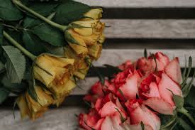 Vatertag diy muttertag geschenke im glas kleine geschenke diy vatertagsgeschenk vatertag bastelarbeiten vatertag basteln verschenken bastelei. Diy Last Minute Vatertagsgeschenk Fasten Ur Seatbelts