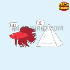 Kunci Jawaban Tebak Gambar Level 17 Nomor 20 Guru Galeri