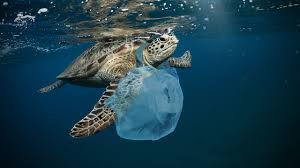 Последние твиты от plastik im meer (@plastik_im_meer). Die Wahren Ursachen Von Plastikmull Im Meer Utopia De