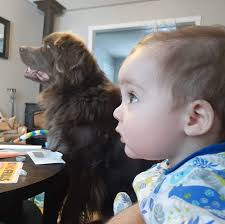 Westport Ontario Development Project and Community Impact