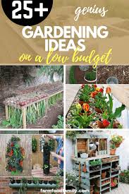 Get a standard flower pot you already have in your garden the trick is to locate the proper glue. 30 Genius Gardening Ideas On Low Budget Cheap Garden Ideas Garden Ideas Cheap Creative Gardening Wooden Garden Planters