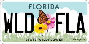 We did not find results for: Florida S Native Wildflowers Florida Wildflower Foundation