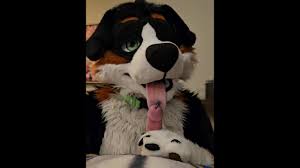 Horny murrsuiter AngryBarks licks and teases ManedStripes