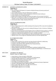 platform developer resume samples