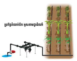 ááááááâáá¼ááá¶áâááááá¶áá PH ááááâáá¸âáá¶áâáááá¶áâ