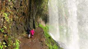 Maybe you would like to learn more about one of these? Silver Falls Park Gem Of The Oregon System Has Reopened Kgw Com