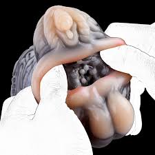 ORALSX мягкая одноканальная чашка для самолета с изображением обезьяны,  искусственная вагина, анальная плотная киска, настоящий массаж простаты,  секс-игрушки для мужчин | AliExpress