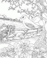 Birds coloring pages for adults is another section that contains black and white images made in an unusual style. Pin On Printables