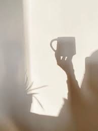 Image result for tbn:VyyNohIYPaX0MM::photos.azyya.com/store/up2/080822054134yB3a.gif