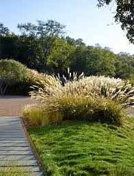 Bay area landscapes has consistently provided excellent landscape design and renovations to the majority of cities in the bay area, specifically since 1972, bay area landscapes has been a reliable landscape design, planning, renovation and maintenance service for san francisco bay. Landscape Architecture Design Build Tfl