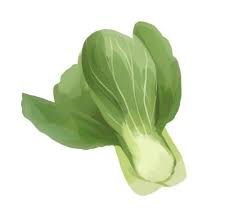 Bok choy, green stem variety, large size. Bok Choy Green Stem Seeds