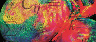 Image result for Science Math Applications Mathematical Biology Events