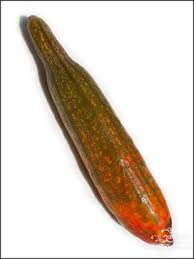 Image result for Coccinia barteri