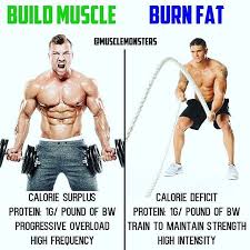 Pin On Jmax Fitness