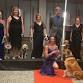 Dinner with the Therapy Dogs