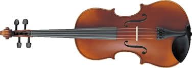 Image result for Viola