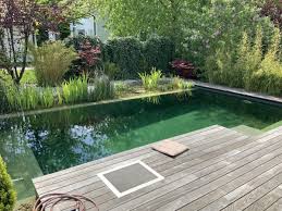 Image Der Treffpunkt Fur Schwimmteich Und Naturpool Freunde In 2020 Schwimmteich Indoor Wassergarten Natur Pool