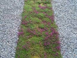 Ask your nursery how many plants you will need, but remember that it may take several years for some to fill in fully. Scot Eckley Landscaping Blog Driveway Landscaping Driveway Design Driveway