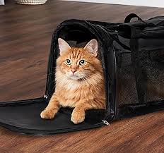 I was surprised at how cheap and portable this cat calming spray. Cat Travel Tips How To Use A Carrier Petsmart