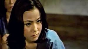 Shadow Killers Tiger Force (1986)