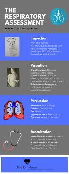 Pin On Nursing School