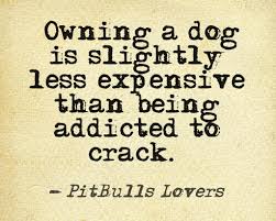 Bitter Is The New Black By Jen Lancaster This Quote By Jen Lancaster Bitter Is The New Black Dog Quotes Quotes Favorite Quotes