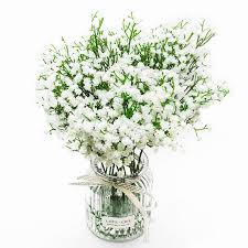 Duhouse 10pcs Babys Breath Artificial Flowers Fake White Flowers Real Touch Gypsophila Floral In Bulk For Home Wedding Garden Decor White Long Stem Silk Flower Arrangements