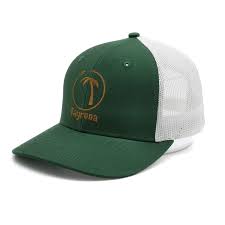 Tayrona Snapback Hat Green Hats Snapback Hats Hats