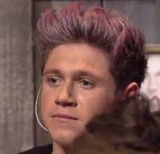 And niall dyed his hair purple! Niall Horan 1d Day I Love One Direction One Direction