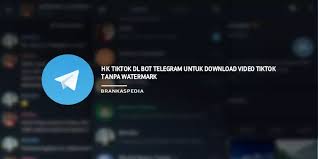 Link menonton film kisah untuk geri. Hk Tiktok Dl Bot Telegram Untuk Download Video Tiktok Tanpa Watermark Brankaspedia Blog Tutorial Dan Tips