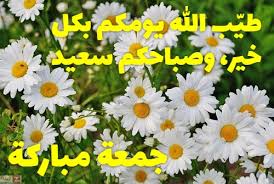 صور جمعة مباركة دعاء جمعه مباركه صور يوم الجمعه مباركه Zina Blog Plants