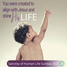 Society as a whole must respect, defend and promote the dignity of every human person, at every moment and in every condition of that person's life. Sanctity Of Human Life Sunday Align Life Ministries
