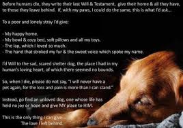 A Dogs Goodbye Poem Fair Use Notice And Disclaimer I Love Dogs Will And Testament Dog Life
