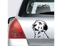 Image result for štýrský brakýř