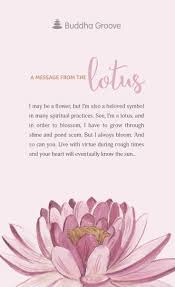 A Message From The Lotus Words Quotes Buddha