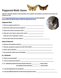 Peppered Moth Game